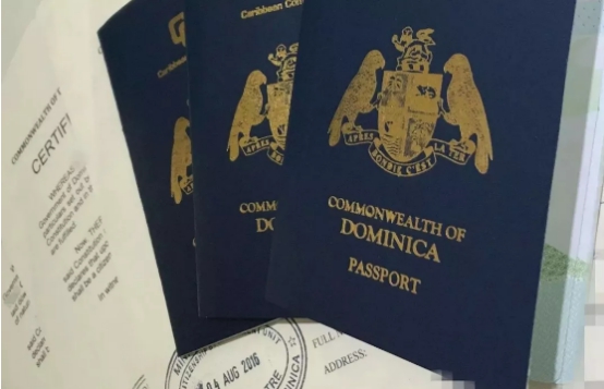 侨外多米尼克移民：21天获批打破世界纪录可以电子递件的英联邦护照！