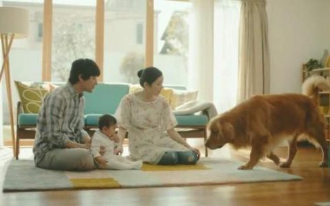 日本购物网站“亚马逊”推出宠物犬为主角的新广告却“害惨”了不少宠物