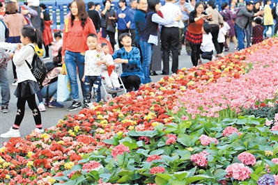 156110万人过年花城看花 广州旅游人气口碑双丰收