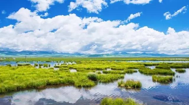 干货 成都到四川各大景点门票和里程表超强攻略自驾游必备！