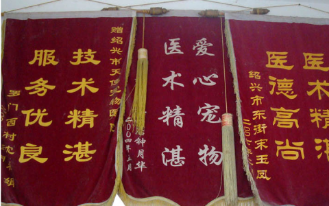 提供最强硬的医院服务是我院始终坚持的——天使宠物医院