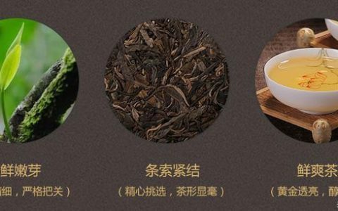 才者冰岛普洱茶进化论