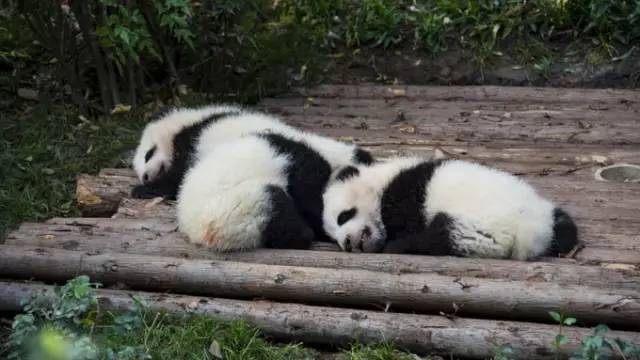 超强成都美食推荐！满屏的美味根本控制不住自己