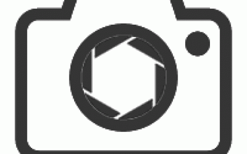 大数据分析｜谁在移民欧洲？他们来自哪个行业？