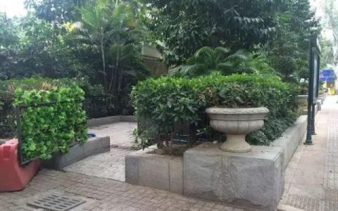 节后年花年桔怎样处理？沙面收集点就在网球场对面