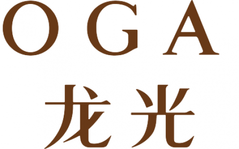 龙光集团宣讲会11月9号下午2：30香港大学约定你！香港、深圳、新加坡职位等你来！
