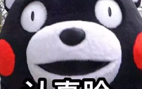 【干货】不同国家的雅思要求留学政策的区别