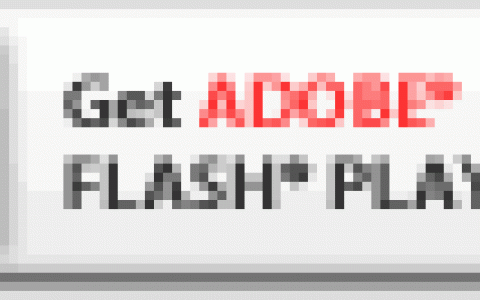 徐东古玩城 5月举办 全国文玩交易会