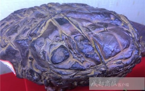 小行星中秋夜划过天际成都陨石猎人昼夜兼程找踪迹