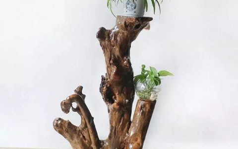 文玩人的花架_搜狐文化_搜狐网