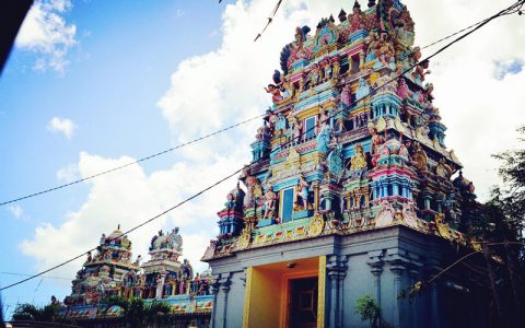 备受青睐 金晶科技荣膺民营上市公司投资人信心30强