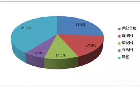酒托女卖艺不卖身月入数万婚恋网站水有多深？